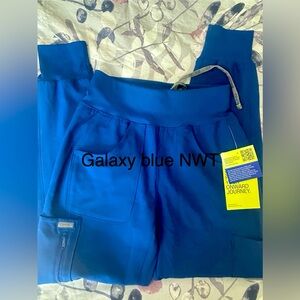 Landau Forward Blue Jogger Pants